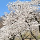 단성생활체육공원 이미지