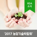 강원도와송 이미지