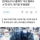 LG, 불화수소 국산화 완전 성공! [기해경제독립만세!] 이미지