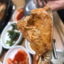 싱싱어촌 이미지