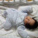 수호침구