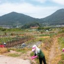 예곡농장 이미지