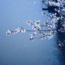 으뜸행정사 이미지