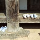 화덕구이/이팔청춘 이미지