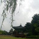 정왕약국 이미지