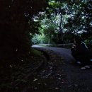 두손모아 반딧불이 이미지