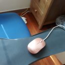 해우스 이미지