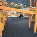 괴산읍 어린이놀이터 이미지