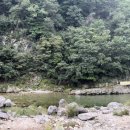 용소폭포 해바라기 이미지