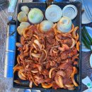 도림개발 | 서울 근교 남양주 수동 계곡 백숙 맛집 "도림개가족휴양지" 평상 이용 후기