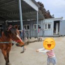 엄마호두 앤 카페 이미지