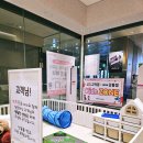 LG전자(1) 지하1층 | 강동구 이사가전 할인 제대로 받는 방법 LG전자 베스트샵 고덕점 1주년 행사 다녀온 후기!