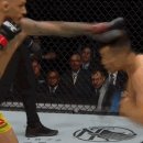 UFC 정찬성 현역시절 동물적인 움직임 ㄷㄷ...GIF 이미지