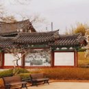 오죽헌/시립박물관 주차장 티스토리