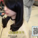파리스헤어 이미지