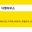더펫 이미지
