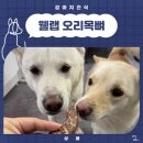웰랩 네이버블로그