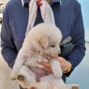 구계리경로당 이미지