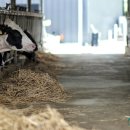 두지목장 이미지