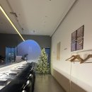 (주)성남 | [위례, 성남, 송파] 소고기 우마카세 우마주 내 돈 내산 솔직 후기