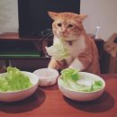 흥부숯불갈비 이미지