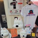 대보매점 이미지