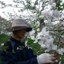 무주시크릿 이미지