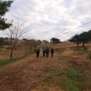 행은목장 이미지