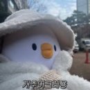 닭꼬얌 | [서울]진짜 오래된 맛집 홍대 닭꼬얌 후기