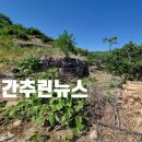 불회부동산중개사무소 | 2022년 8월5일 간추린뉴스 &amp;헤드라인 대구 남구 중구 봉덕동 대명동 황금동 상동 상가매매 상가임대...