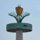 상해계곡 진입도로변 | 구례여행| 노란물결이 찬란한 산수유마을🌼인근숙소, 식사, 축제정보까지!