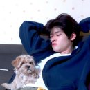 봄날의 햇살 이미지