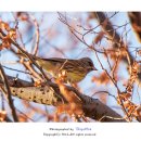 정 머리방 이미지