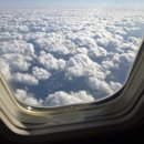 동백로29번길 25 | [25년 12월 제주여행] 하늘주차대행, 선흘방주할머니 식당, 카페 자드부팡, 동백동산 먼물깍습지