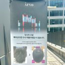 엘리시아헤어 이미지