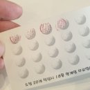 원일베네스트 이미지