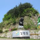 백운산 솔밭 앞 | 20150510 백운산(경기 포천, 답사)
