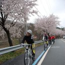 2015년 4월 5일 일욜 섬진강 벚꽃 라이딩 사진 ^^ 이미지