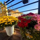 휴 한옥 펜션 | 네 가족 전주 여행 가서 머물렀던 전주펜션 전주한옥마을 휴펜션 방문 후기!