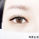 예뿐눈썹 이미지