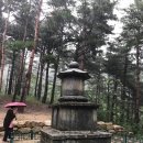 진선사 이미지