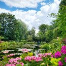 모네의 집 | 지베르니, 모네의 집, 수련 정원