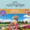 비상잉글리시아이학원 이미지