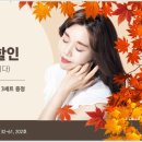 헤어머리꾼 이미지