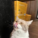 멍이와쿤이 이미지