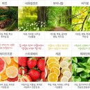 허브타임