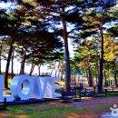 동해곤충농장 이미지