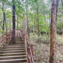 평양숨두부식당 | 2024년 10월