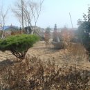 가출경로당 이미지