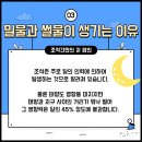 조석인력 이미지